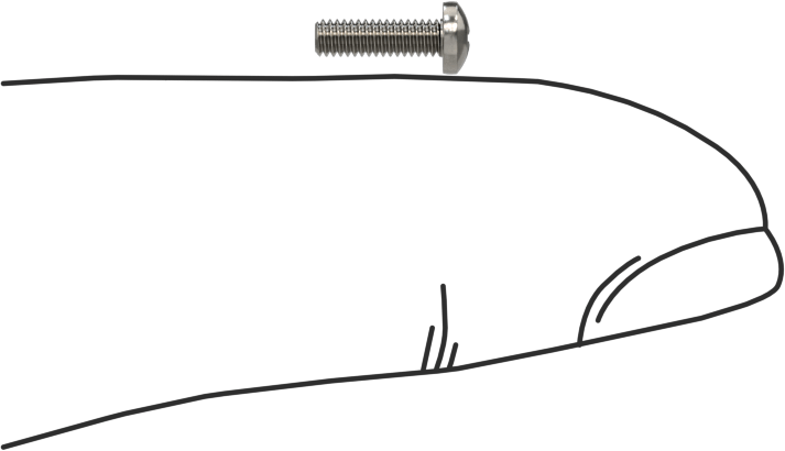316 Paslanmaz Çelik Silindir Başlı Phillips Vida, 1-72 Diş, 1/4" Uzunluk