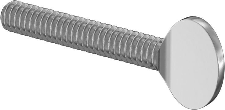 18-8 Paslanmaz Çelik Kürek Başlı Ayar Vidası, 1/4"-20 Diş Boyutu, 1-1/2" Uzunluk