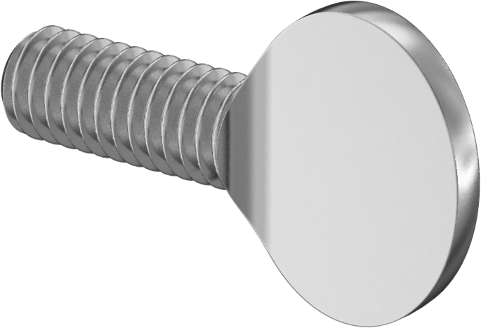 18-8 Paslanmaz Çelik Kürek Başlı Ayar Vidası, 5/16"-18 Diş Boyutu, 3/4" Uzunluk