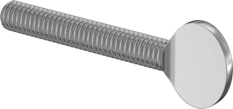 18-8 Paslanmaz Çelik Kürek Başlı Ayar Vidası, 5/16"-18 Diş Boyutu, 2" Uzunluk