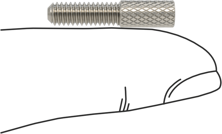 Tırtıllı Başlı Parmak Vidası, Dar, 8-32 Diş Boyutu, 1/2" Uzunluk