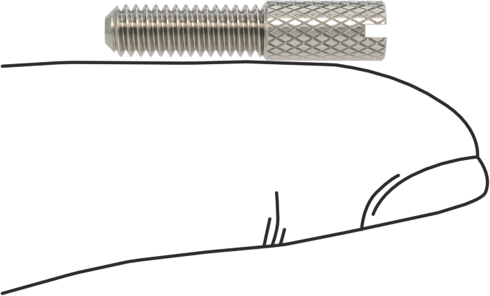 Tırtıllı Başlı Parmak Vidası, Yarık, Dar, 8-32 Diş Boyutu, 1/2" Uzunluk