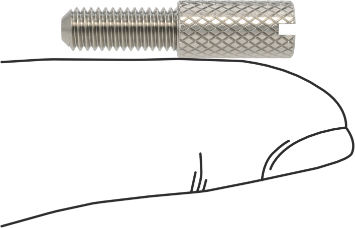 Tırtıllı Başlı Parmak Vidası, Yarık, Dar, 10-32 Diş Boyutu, 1/2" Uzunluk