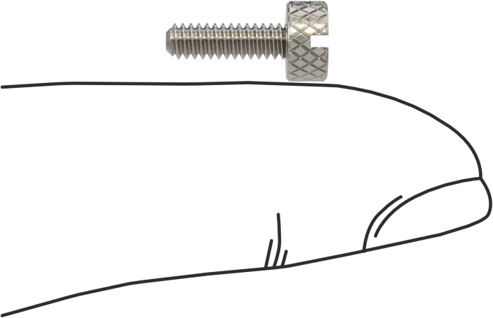 Tırtıllı Başlı Parmak Vidası, Yarık, Dar, 4-40 Diş Boyutu, 3/8" Uzunluk