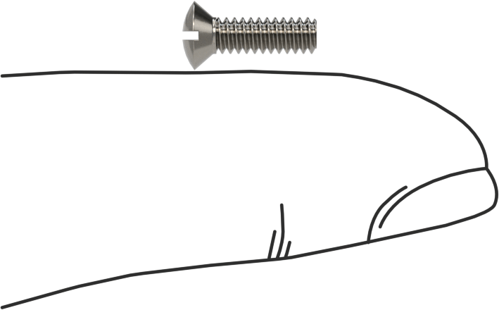 18-8 Paslanmaz Çelik Yivli Oval Başlı Vidalar, 4-40 Diş Boyutu, 3/8" Uzunluk
