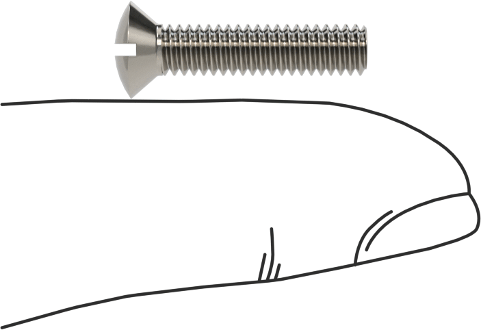 18-8 Paslanmaz Çelik Yivli Oval Başlı Vidalar, 8-32 Diş Boyutu, 3/4" Uzunluk