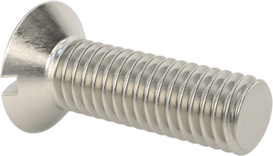 18-8 Paslanmaz Çelik Yivli Oval Başlı Vidalar, M3 x 0,5 mm Diş Boyutu, 10 mm Uzunluk
