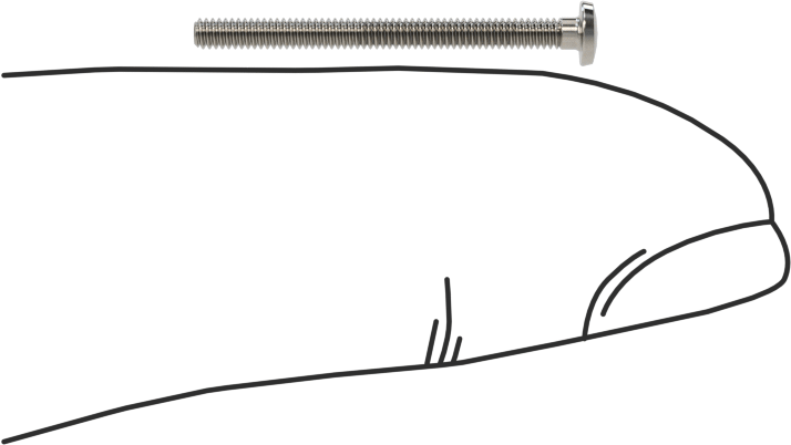 Paslanmaz Çelik Bağlama Başlı Oluklu Vidalar, 0-80 Diş, 3/4" Uzunluk