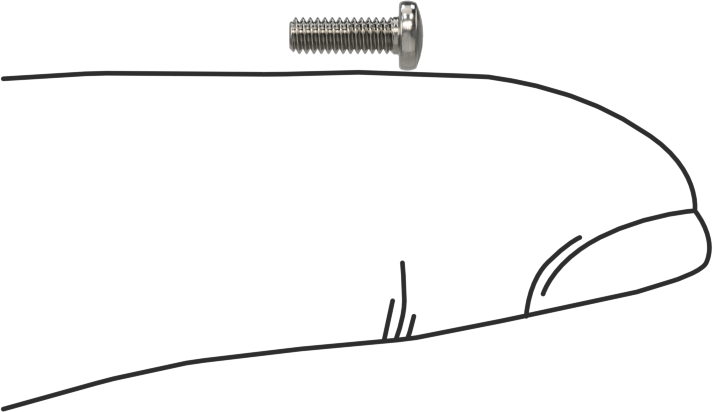 18-8 Paslanmaz Çelik Peynir Başlı Oluklu Vida, M2 x 0,4 mm Diş Boyutu, 6 mm Uzunluk
