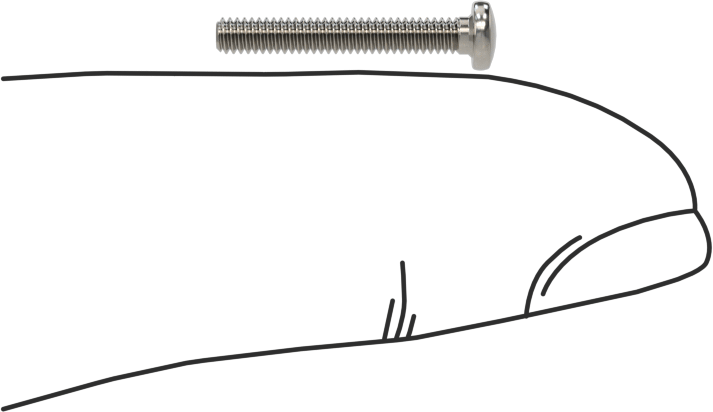 18-8 Paslanmaz Çelik Peynir Başlı Oluklu Vida, M2 x 0,4 mm Diş Boyutu, 14 mm uzunluk