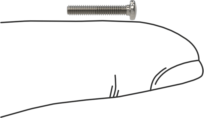 18-8 Paslanmaz Çelik Peynir Başlı Oluklu Vida, M2 x 0,4 mm Diş Boyutu, 12 mm Uzunluk