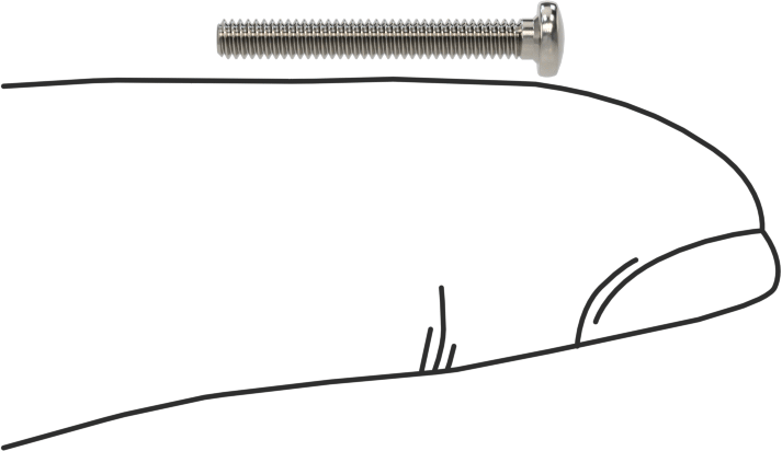 18-8 Paslanmaz Çelik Peynir Başlı Oluklu Vida, M2 x 0,4 mm Diş Boyutu, 16 mm Uzunluk