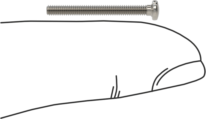 18-8 Paslanmaz Çelik Peynir Başlı Oluklu Vida, M2 x 0,4 mm Diş Boyutu, 20 mm Uzunluk