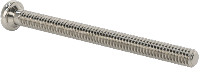 18-8 Paslanmaz Çelik Peynir Başlı Oluklu Vida, M2 x 0,4 mm Diş Boyutu, 25 mm Uzunluk