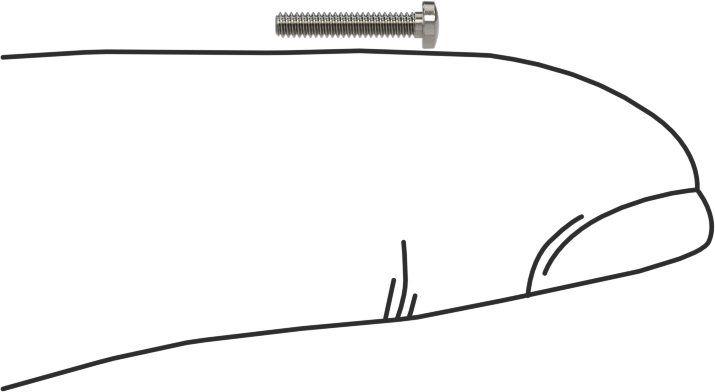 18-8 Paslanmaz Çelik Peynir Başlı Oluklu Vida, M1,4 x 0,3 mm Diş Boyutu, 8 mm Uzunluk