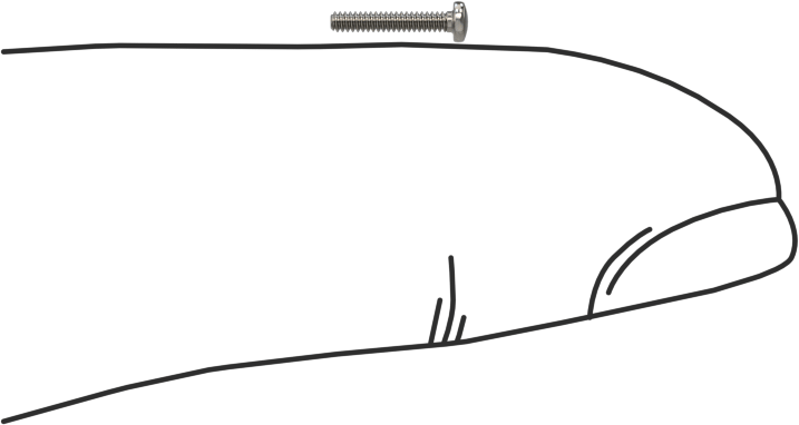 18-8 Paslanmaz Çelik Peynir Başlı Oluklu Vida, M1 x 0,25 mm Diş Boyutu, 6 mm Uzunluk