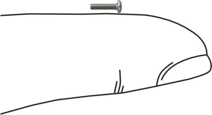 18-8 Paslanmaz Çelik Peynir Başlı Oluklu Vida, M1,2 x 0,25 mm Diş Boyutu, 5 mm Uzunluk