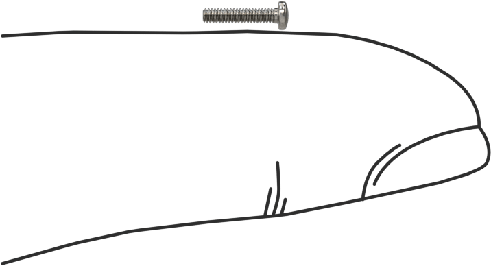 18-8 Paslanmaz Çelik Peynir Başlı Oluklu Vida, M1,2 x 0,25 mm Diş Boyutu, 6 mm Uzunluk