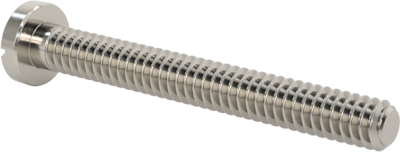 18-8 Paslanmaz Çelik Peynir Başlı Oluklu Vida, M1,4 x 0,3 mm Diş Boyutu, 12 mm Uzunluk
