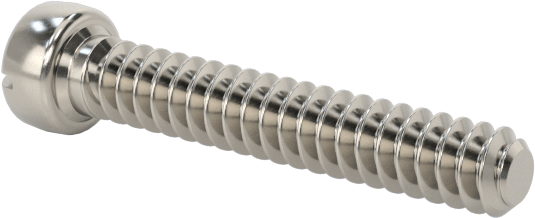 18-8 Paslanmaz Çelik Peynir Başlı Oluklu Vida, M0,5 x 0,13 mm Diş Boyutu, 3 mm Uzunluk