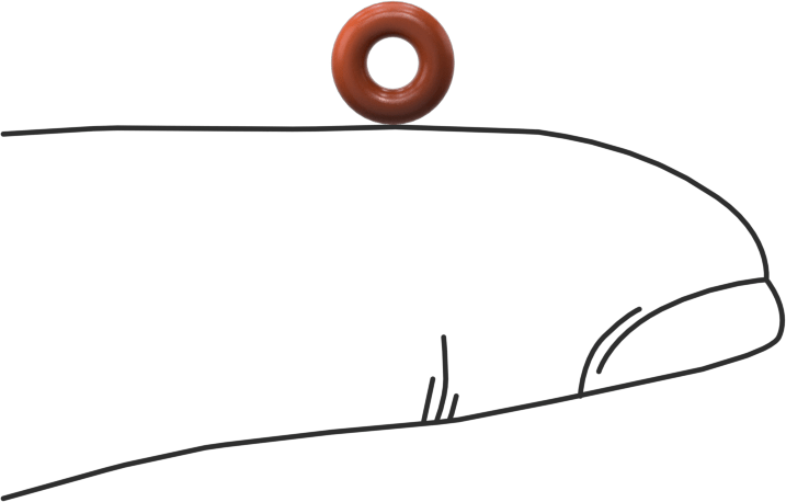 Yüksek Sıcaklık Silikon O-Ring, 1/16 Kesirli Genişlik, Dash Numarası 005