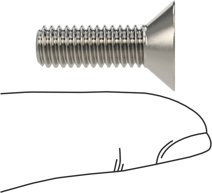 Kurcalamaya Dayanıklı Torx Düz Başlı Vidalar, 18-8 Paslanmaz Çelik, 5/16"-18 Diş Boyutu, 1" Uzunluk