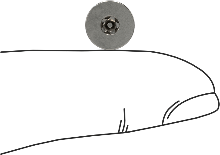 Kurcalamaya Dayanıklı Torx Düz Başlı Vidalar, Torx Plus, 18-8 Paslanmaz Çelik, 8-32 Diş Boyutu, 1/4" Uzunluk