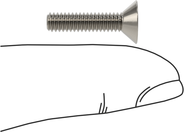 Kurcalamaya Dayanıklı Torx Düz Başlı Vidalar, Torx Plus, 18-8 Paslanmaz Çelik, 8-32 Diş Boyutu, 3/4" Uzunluk