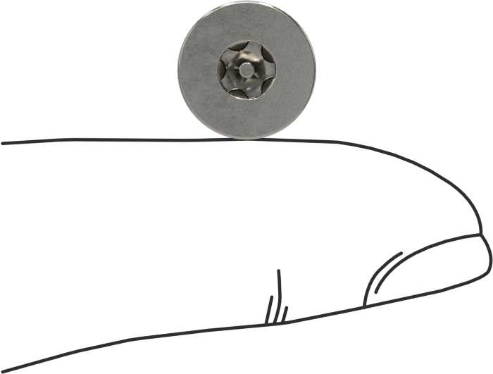 Kurcalamaya Dayanıklı Torx Düz Başlı Vidalar, Torx Plus, 18-8 Paslanmaz Çelik, 10-32 Diş Boyutu, 3/8" Uzunluk