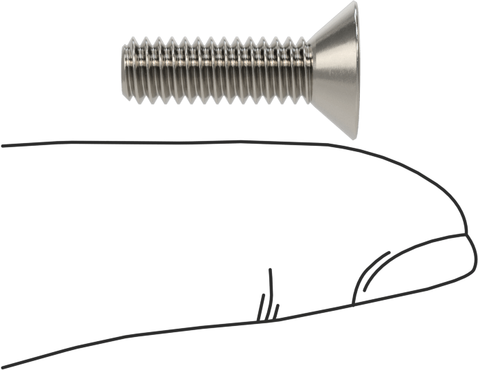 Kurcalamaya Dayanıklı Torx Düz Başlı Vidalar, Torx Plus, 18-8 Paslanmaz Çelik, 12-24 Diş Boyutu, 3/4" Uzunluk
