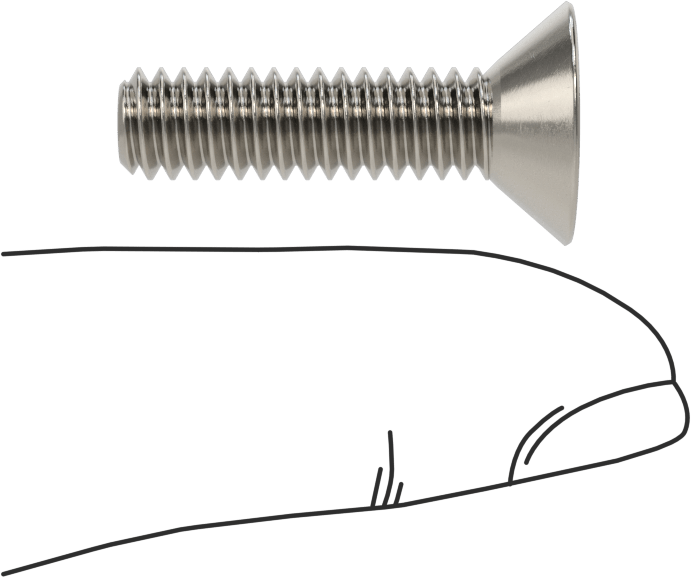 Kurcalamaya Dayanıklı Torx Düz Başlı Vidalar, Torx Plus, 18-8 Paslanmaz Çelik, 1/4"-20 Diş Boyutu, 1" Uzunluk