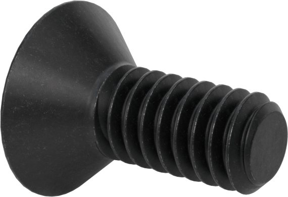 Kurcalamaya Dayanıklı Torx Düz Başlı Vidalar, Siyah Oksitli Alaşımlı Çelik, 1/4"-20 Diş Boyutu, 5/8" Uzunluk