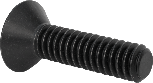 Kurcalamaya Dayanıklı Torx Düz Başlı Vidalar, Siyah Oksitli Alaşımlı Çelik, 1/4"-20 Diş Boyutu, 1" Uzunluk