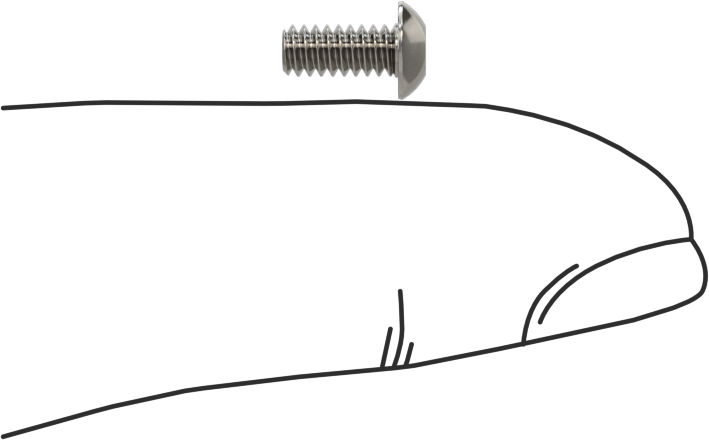Paslanmaz Çelik Kurcalamaya Dayanıklı Düğme Başlı Torx Vidalar, 4-40 Diş Boyutu, 1/4" Uzunluk