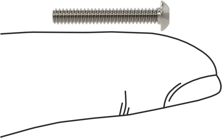 Paslanmaz Çelik Kurcalamaya Dayanıklı Düğme Başlı Torx Vidalar, 4-40 Diş, 3/4" Uzunluk