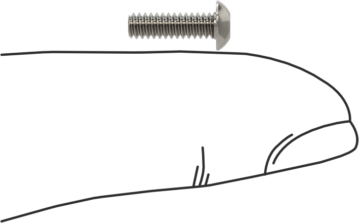Paslanmaz Çelik Kurcalamaya Dayanıklı Düğme Başlı Torx Vidalar, 4-40 Diş Boyutu, 3/8" Uzunluk