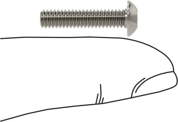 Paslanmaz Çelik Kurcalamaya Dayanıklı Düğme Başlı Torx Vidalar, 8-32 Diş Boyutu, 3/4" Uzunluk