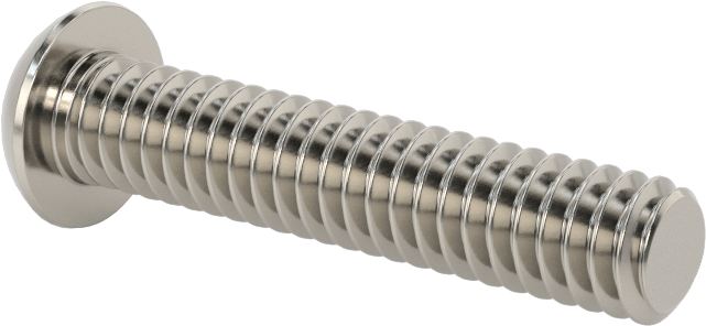 Paslanmaz Çelik Kurcalamaya Dayanıklı Düğme Başlı Torx Vidalar, 1/4"-20 Diş Boyutu, 1-1/4" Uzunluk