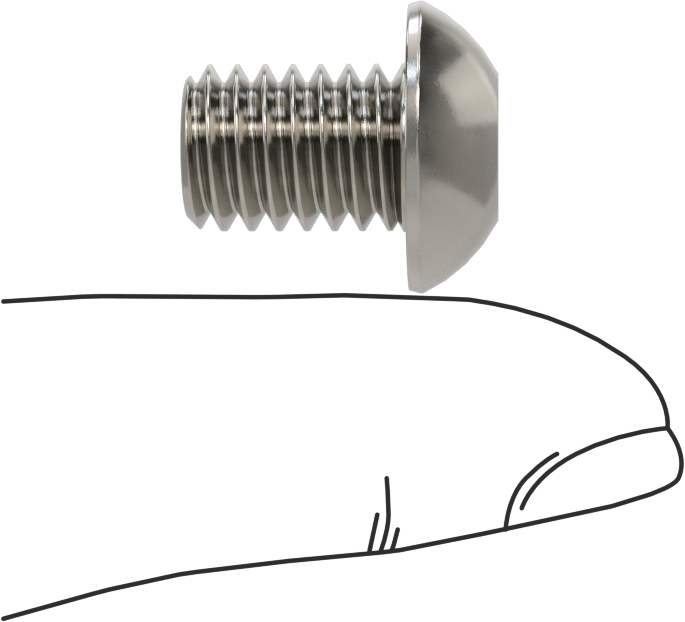 Paslanmaz Çelik Kurcalamaya Dayanıklı Düğme Başlı Torx Vidalar, 3/8"-16 Diş, 1/2" Uzunluk