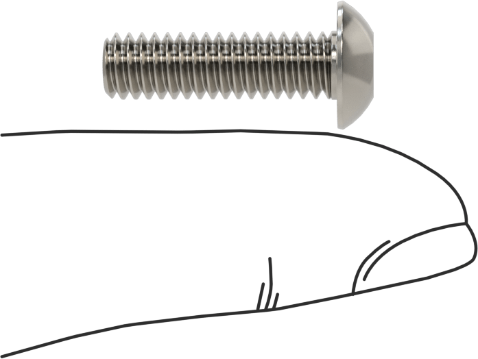 Paslanmaz Çelik Kurcalamaya Dayanıklı Düğme Başlı Torx Vidalar, 12-24 Diş Boyutu, 3/4" Uzunluk