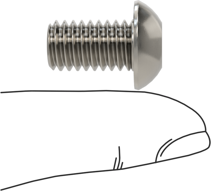 Paslanmaz Çelik Kurcalamaya Dayanıklı Düğme Başlı Torx Vidalar, 3/8"-16 Diş Boyutu, 5/8" Uzunluk