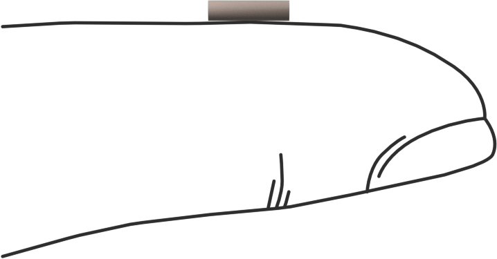 PEEK Pim, 1/16" Çap, 1/4" Uzunluk
