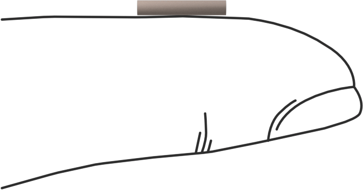 PEEK Pim, 1/16" Çap, 3/8" Uzunluk