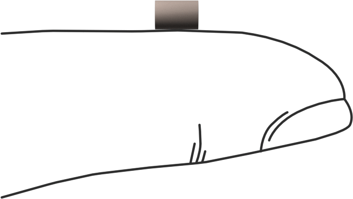 PEEK Pim, 1/8" Çap, 3/16" Uzunluk