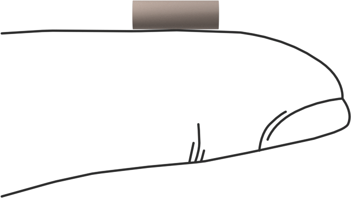 PEEK Pim, 1/8" Çap, 3/8" Uzunluk