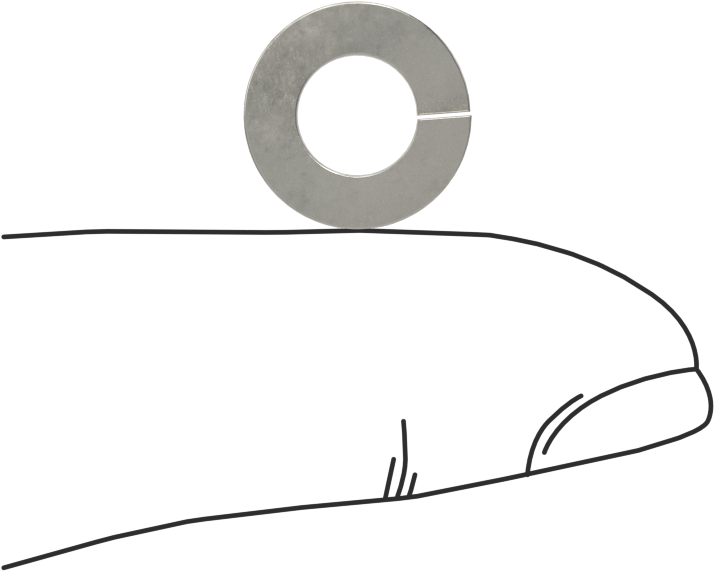 18-8 Paslanmaz Çelik Yaylı Pul, 1/4" Vida Boyutu için, 0.26" ID, 0.487" OD