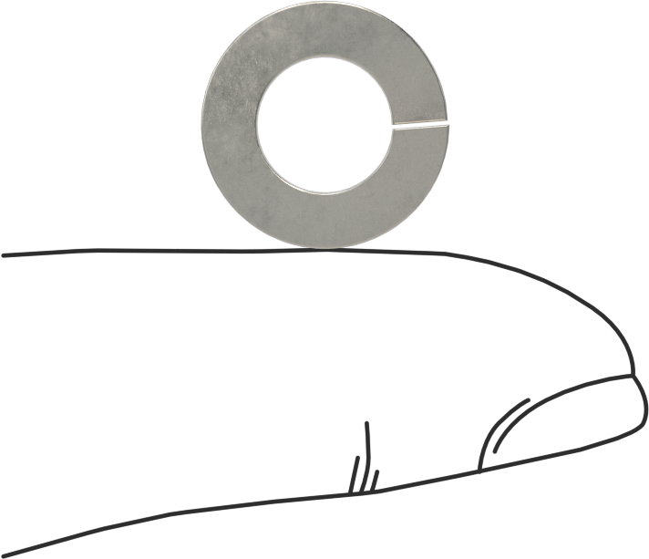 18-8 Paslanmaz Çelik Yaylı Pul, 5/16" Vida Boyutu için, 0.322" ID, 0.583" OD