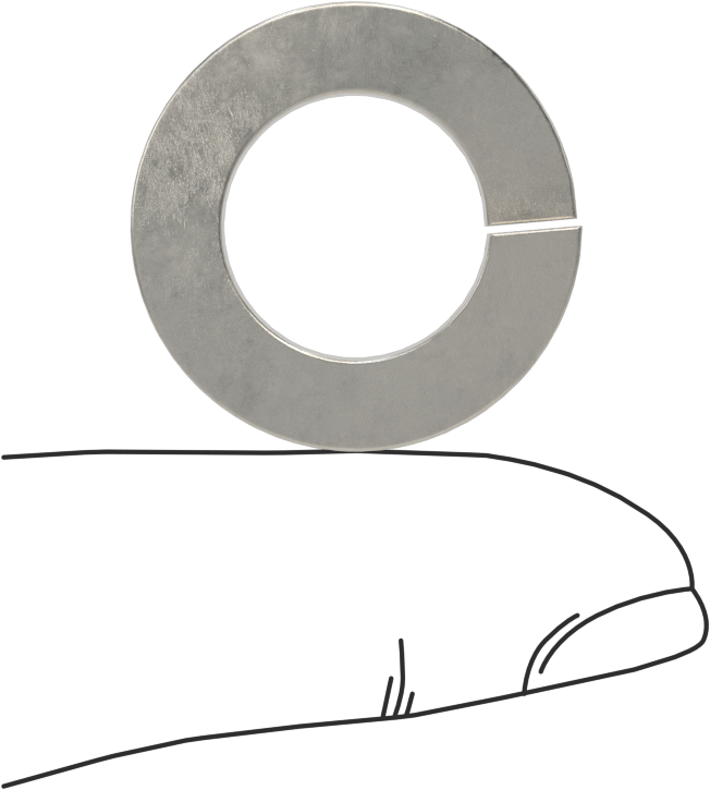 18-8 Paslanmaz Çelik Yaylı Pul, 9/16" Vida Boyutu için, 0.574" ID, 0.965" OD