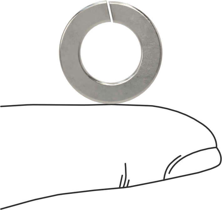 18-8 Paslanmaz Çelik Yaylı Pul, M10 Vida Boyutu için, 10.7 mm ID, 18.1 mm OD