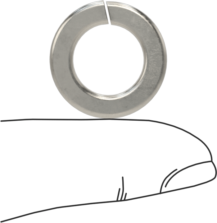 18-8 Paslanmaz Çelik Yaylı Pul, M12 Vida Boyutu için, 12.7 mm ID, 21.1 mm OD